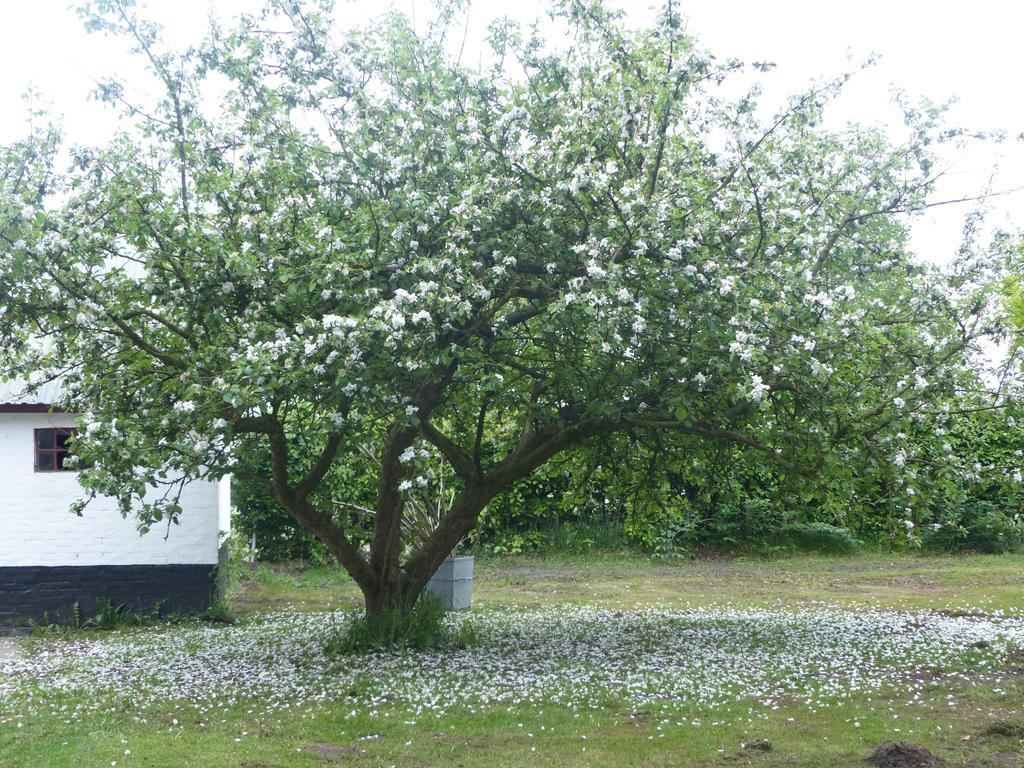 Kristiansminde Farm Holiday Tistrup Exterior photo